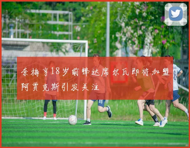 奈梅亨18岁前锋达席尔瓦即将加盟阿贾克斯引发关注